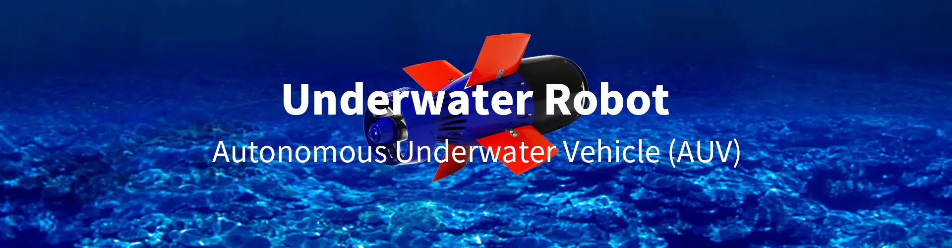 AUV Power Section